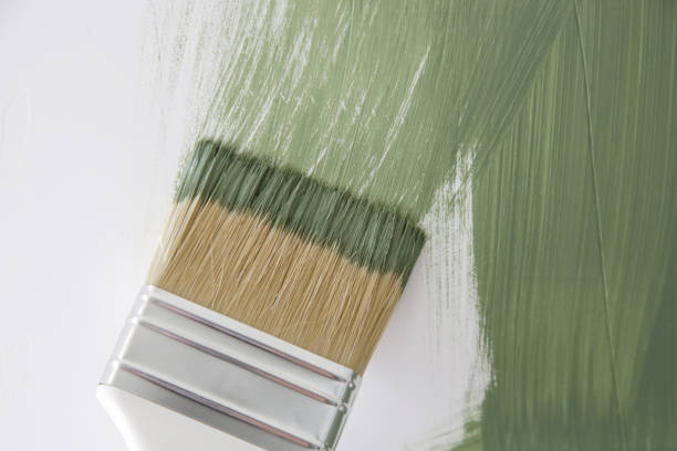 Best Black Mold Removal  in Dayton, OR
