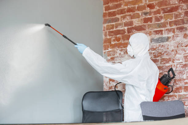 Best Mold Prevention Services  in Dayton, OR