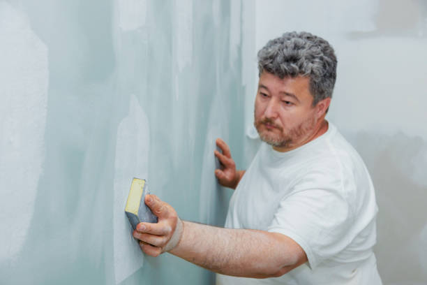 Best Post-Construction Mold Inspection  in Dayton, OR