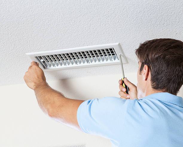 Dayton, OR Mold Removal Company